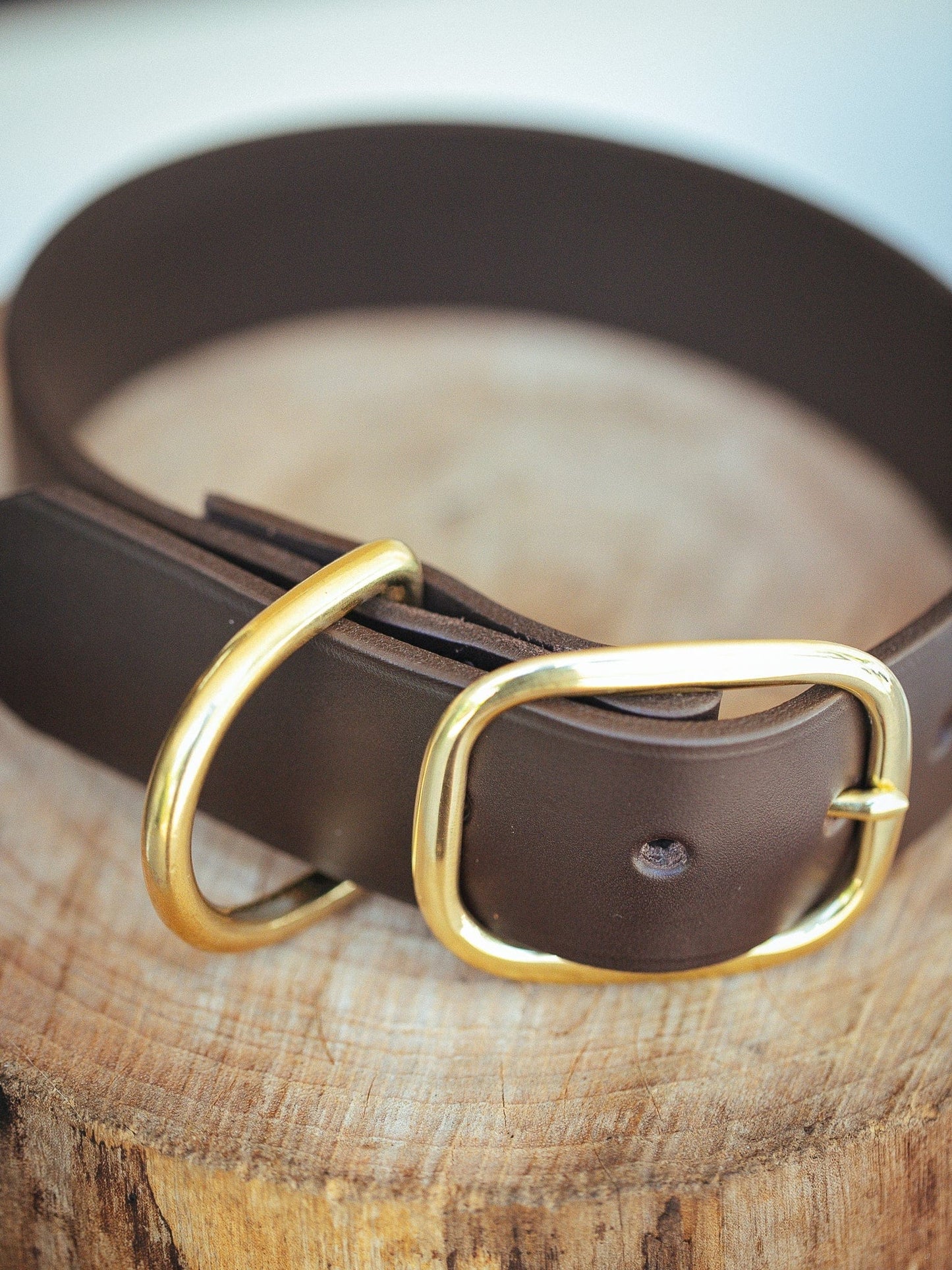 The Real McCaul Leathergoods Pet Collars & Harnesses Classic Dog Collar - 32mm - Dark Brown Australian Made Australian Owned Leather Dog Collar with Brass Fittings- Australian Made