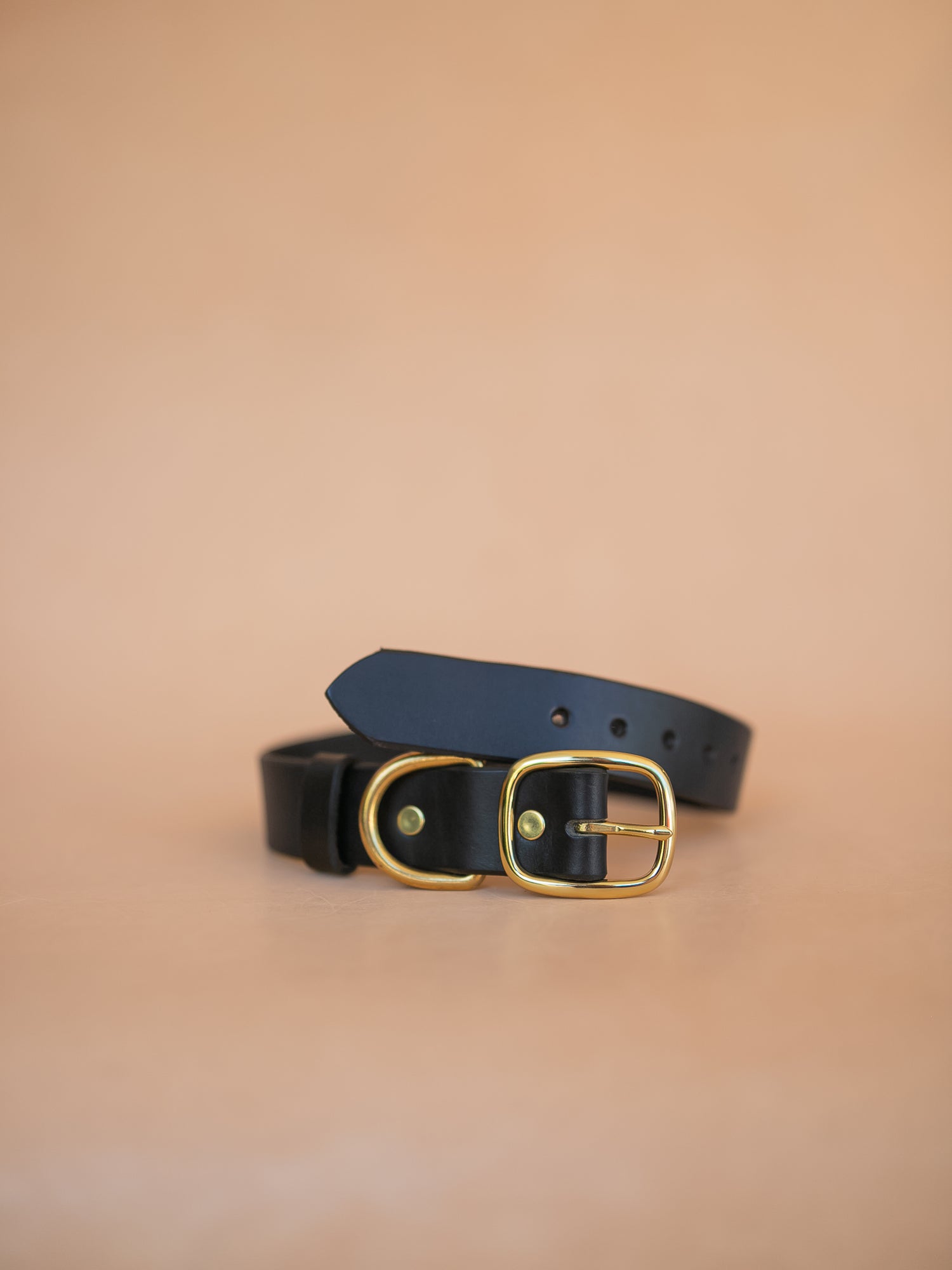 Dog Collars & Leashes