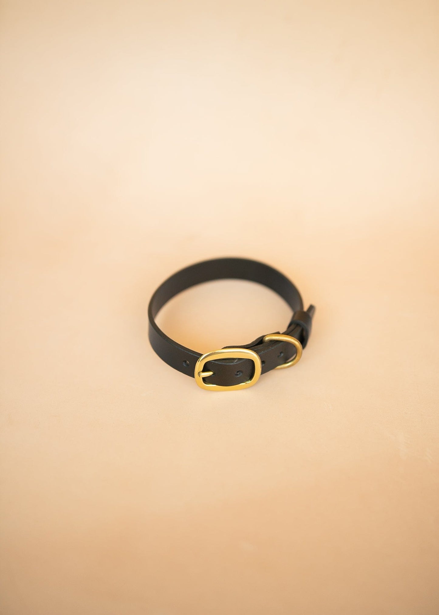 The Real McCaul Leathergoods Pet Collars & Harnesses Classic Dog Collar - 25mm - Black Australian Made Australian Owned Leather Dog Collar with Brass Fittings- Australian Made