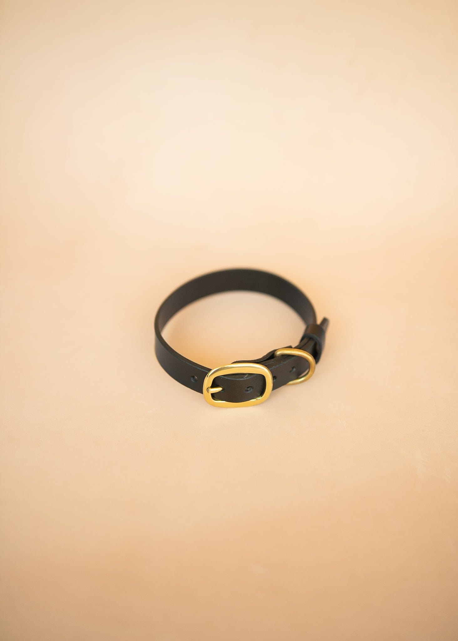 The Real McCaul Leathergoods Pet Collars & Harnesses Classic Dog Collar - 25mm - Black Australian Made Australian Owned Leather Dog Collar with Brass Fittings- Australian Made