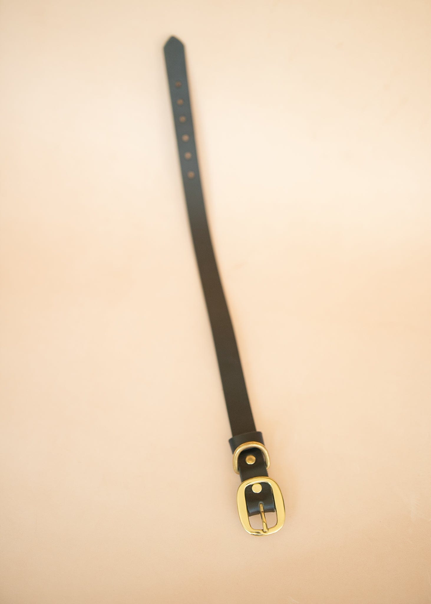 The Real McCaul Leathergoods Pet Collars & Harnesses Classic Dog Collar - 25mm - Black Australian Made Australian Owned Leather Dog Collar with Brass Fittings- Australian Made