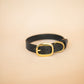 The Real McCaul Leathergoods Pet Collars & Harnesses Classic Dog Collar - 25mm - Black Australian Made Australian Owned Leather Dog Collar with Brass Fittings- Australian Made