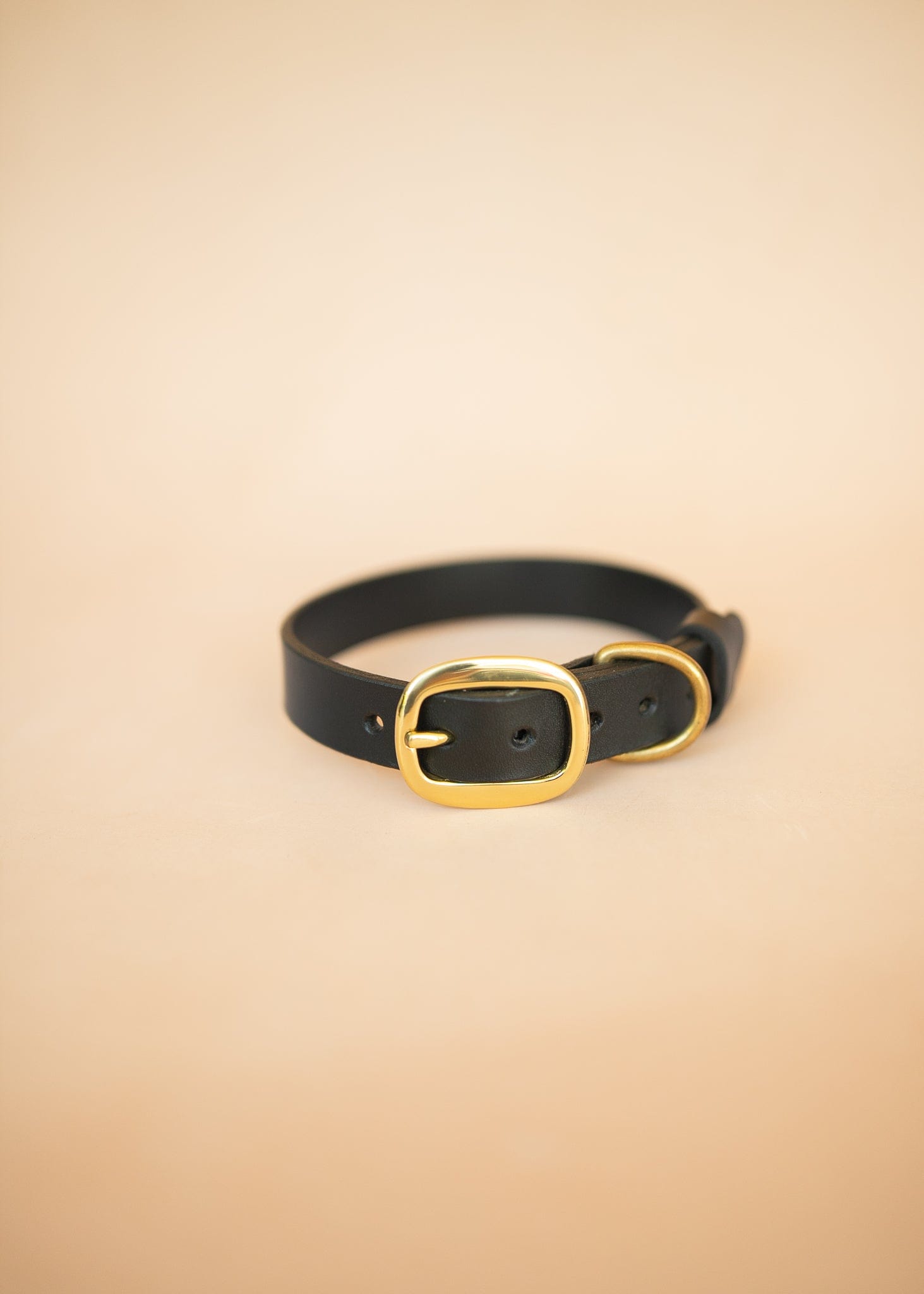 The Real McCaul Leathergoods Pet Collars & Harnesses Classic Dog Collar - 25mm - Black Australian Made Australian Owned Leather Dog Collar with Brass Fittings- Australian Made