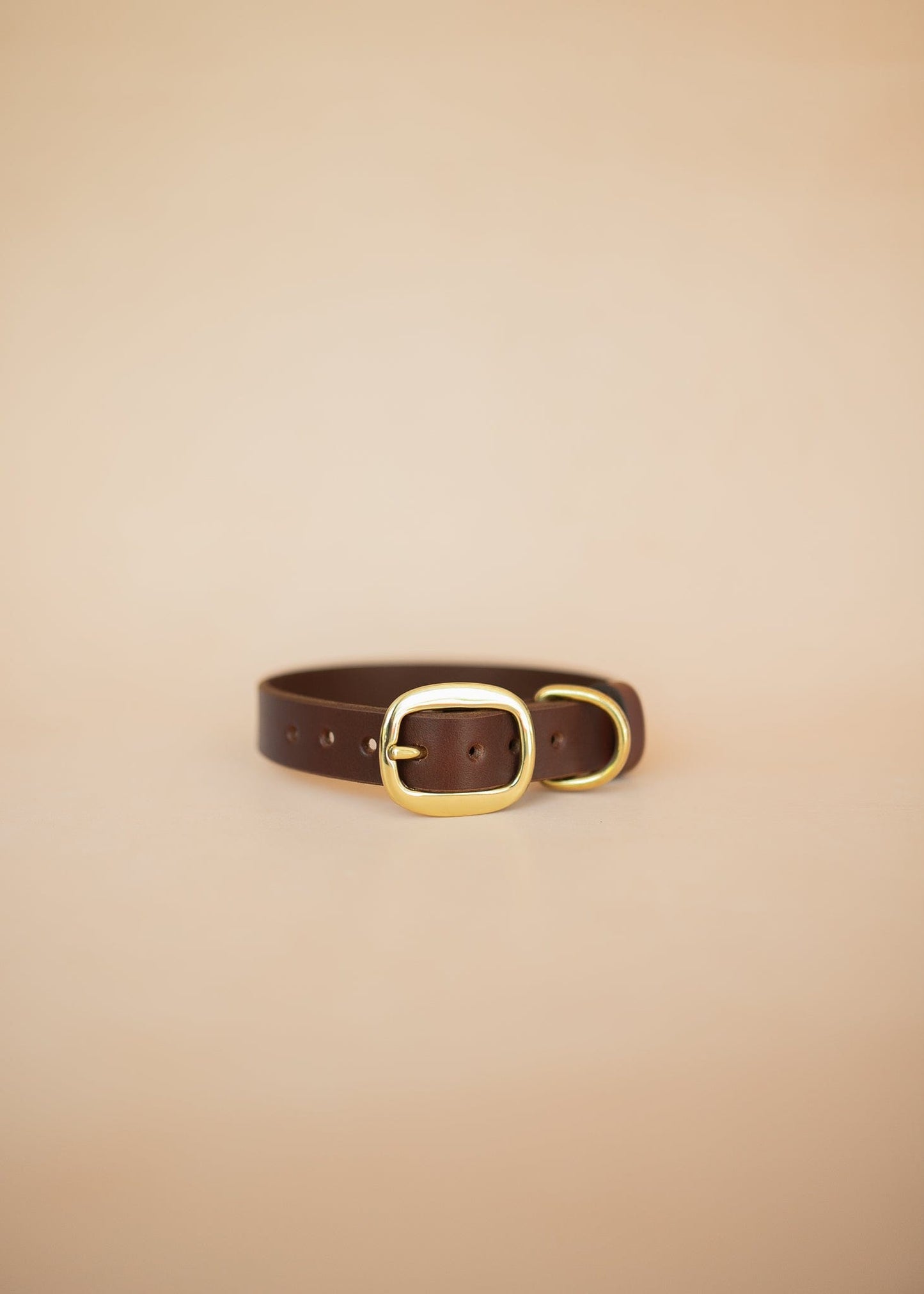 The Real McCaul Leathergoods Pet Collars & Harnesses Classic Dog Collar - 25mm - Burgundy Australian Made Australian Owned Leather Dog Collar with Brass Fittings- Australian Made