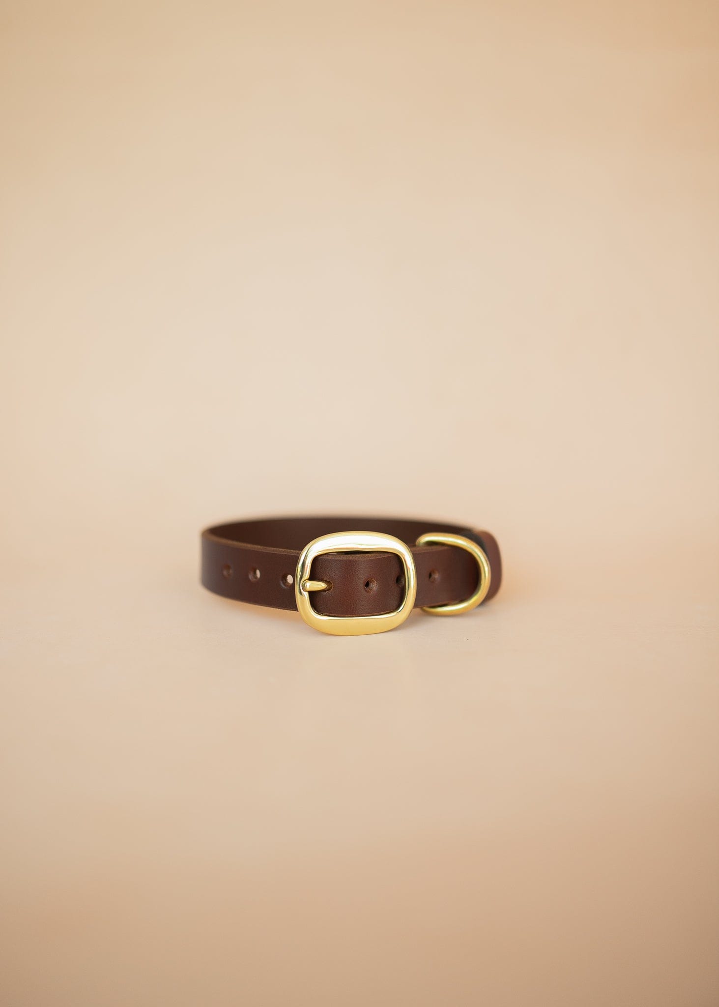 The Real McCaul Leathergoods Pet Collars & Harnesses Classic Dog Collar - 25mm - Burgundy Australian Made Australian Owned Leather Dog Collar with Brass Fittings- Australian Made
