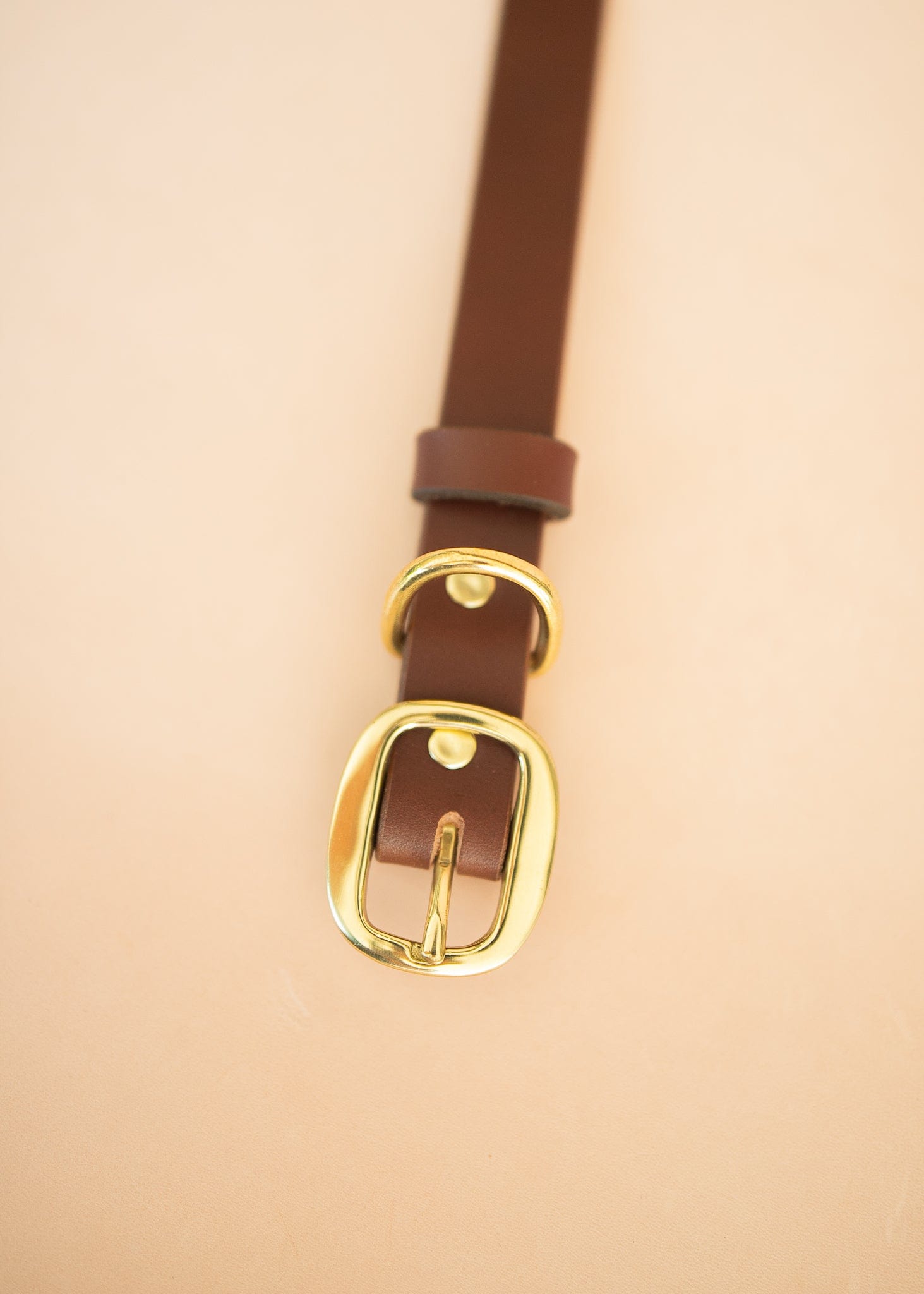 The Real McCaul Leathergoods Pet Collars & Harnesses Classic Dog Collar - 25mm - Burgundy Australian Made Australian Owned Leather Dog Collar with Brass Fittings- Australian Made