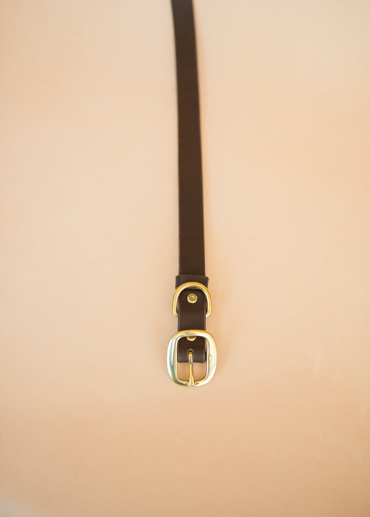 The Real McCaul Leathergoods Pet Collars & Harnesses Classic Dog Collar - 25mm - Dark Brown Australian Made Australian Owned Leather Dog Collar with Brass Fittings- Australian Made