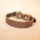 The Real McCaul Leathergoods Pet Collars & Harnesses Dog Collar - Croc Print - 25mm - Vintage Brown Australian Made Australian Owned Leather Dog Collar with Brass Fittings- Australian Made