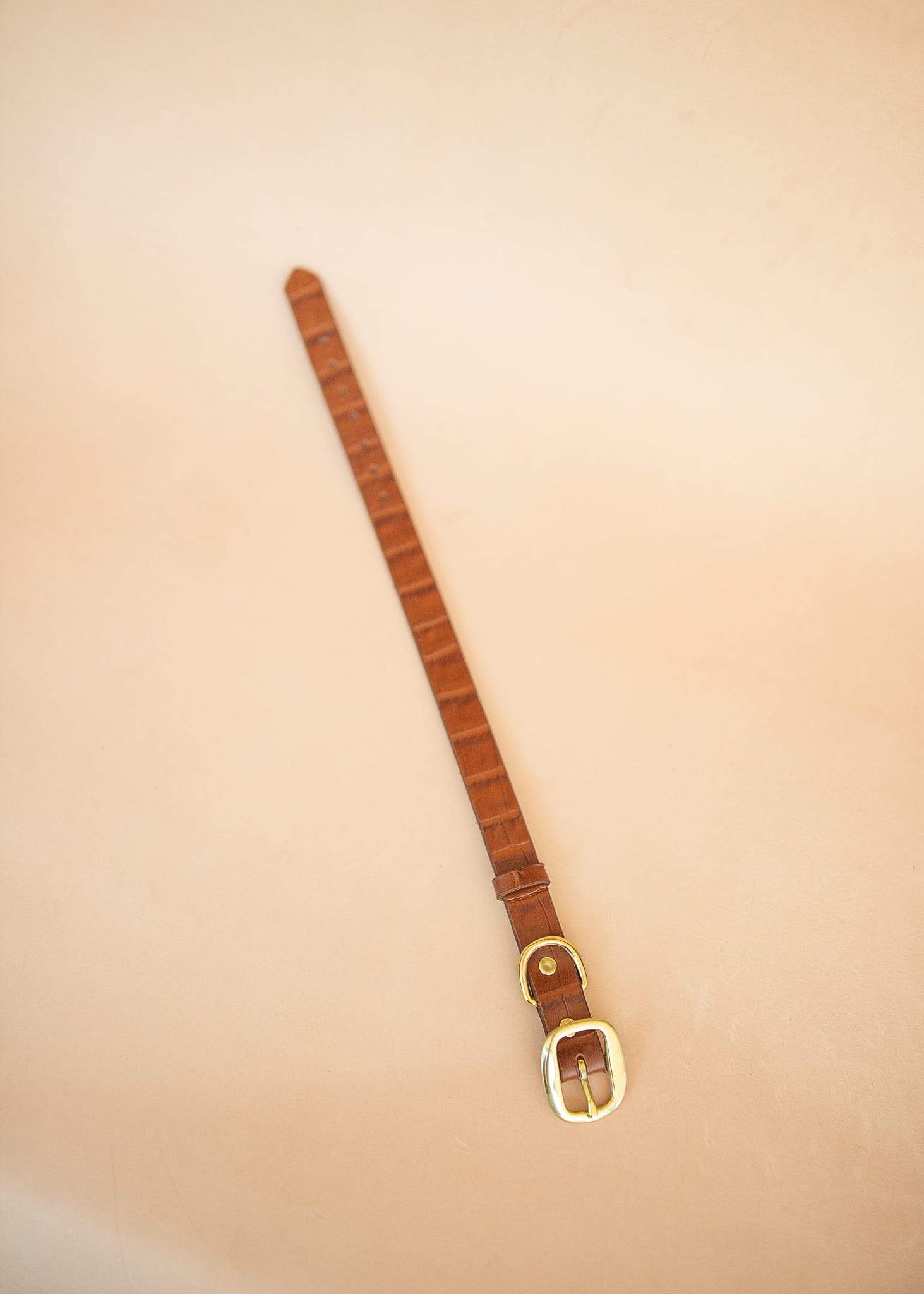 The Real McCaul Leathergoods Pet Collars & Harnesses Embossed Dog Collar - Croc Print - 25mm - Tan Australian Made Australian Owned Leather Dog Collar with Brass Fittings- Australian Made