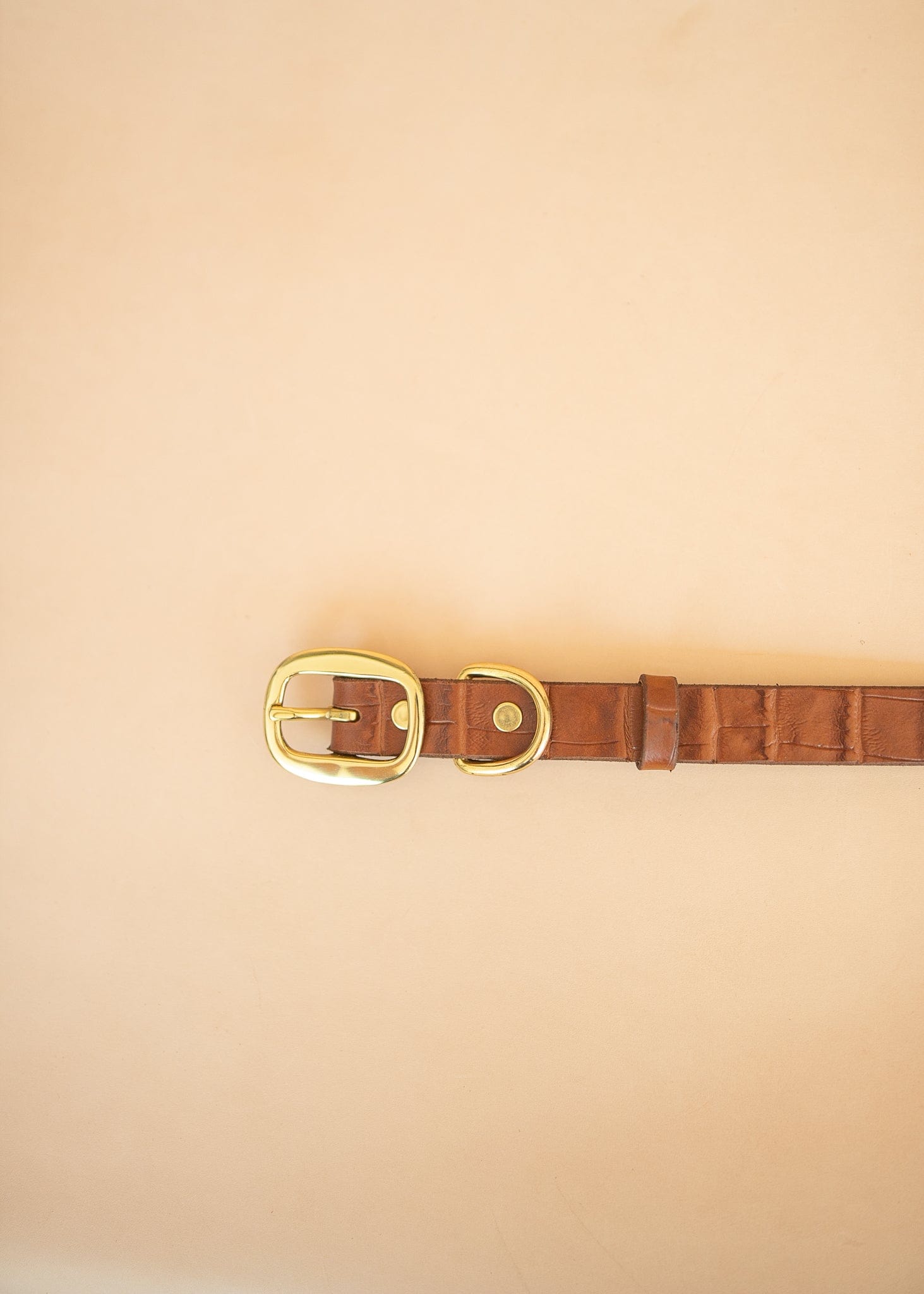 The Real McCaul Leathergoods Pet Collars & Harnesses Embossed Dog Collar - Croc Print - 25mm - Tan Australian Made Australian Owned Leather Dog Collar with Brass Fittings- Australian Made