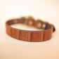 The Real McCaul Leathergoods Pet Collars & Harnesses Embossed Dog Collar - Croc Print - 25mm - Tan Australian Made Australian Owned Leather Dog Collar with Brass Fittings- Australian Made