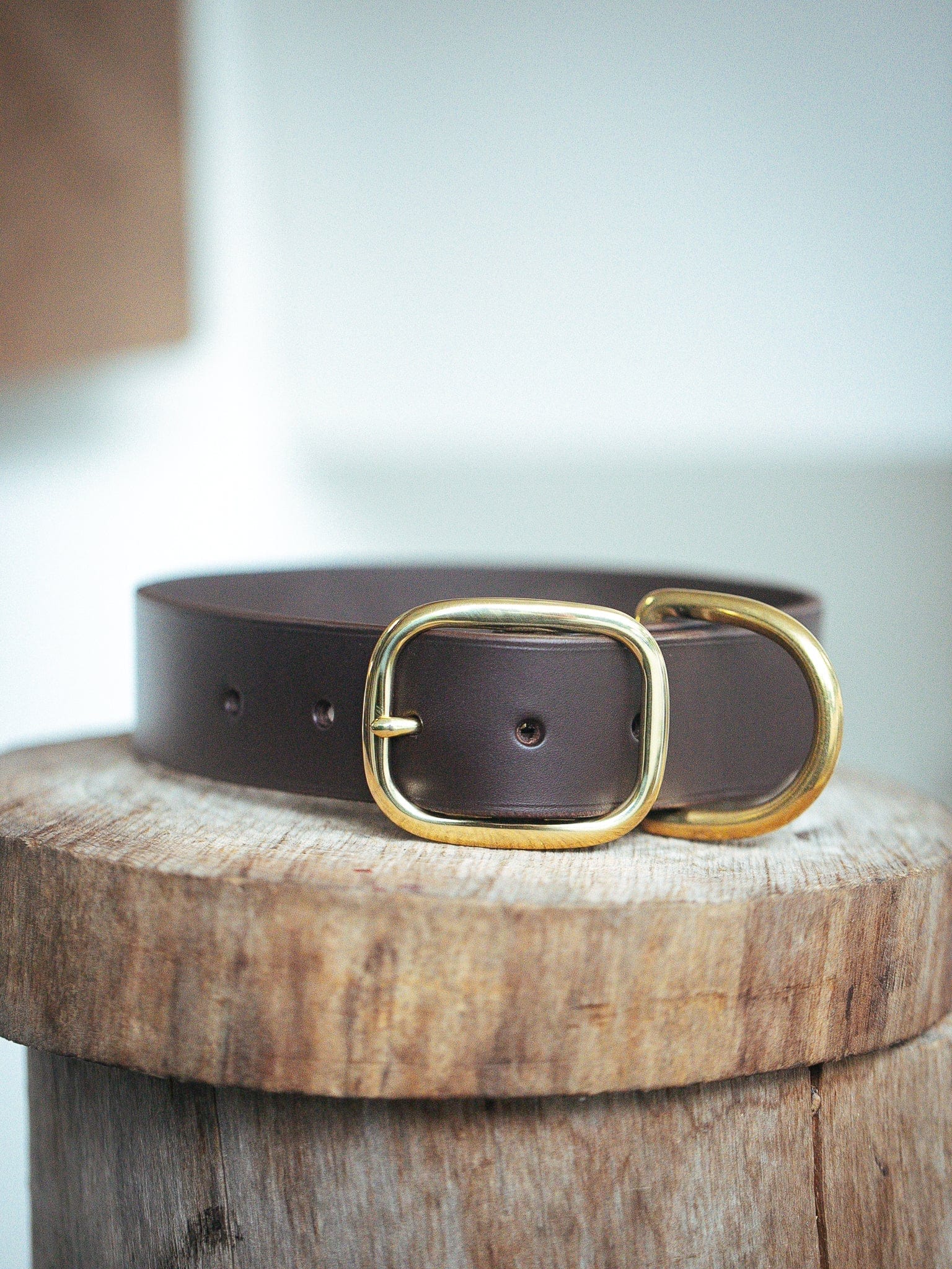 The Real McCaul Leathergoods Personalised Dog Collar 38mm Wide - Dark Brown Australian Made Australian Owned Leather Dog Collar with Brass Fittings- Australian Made