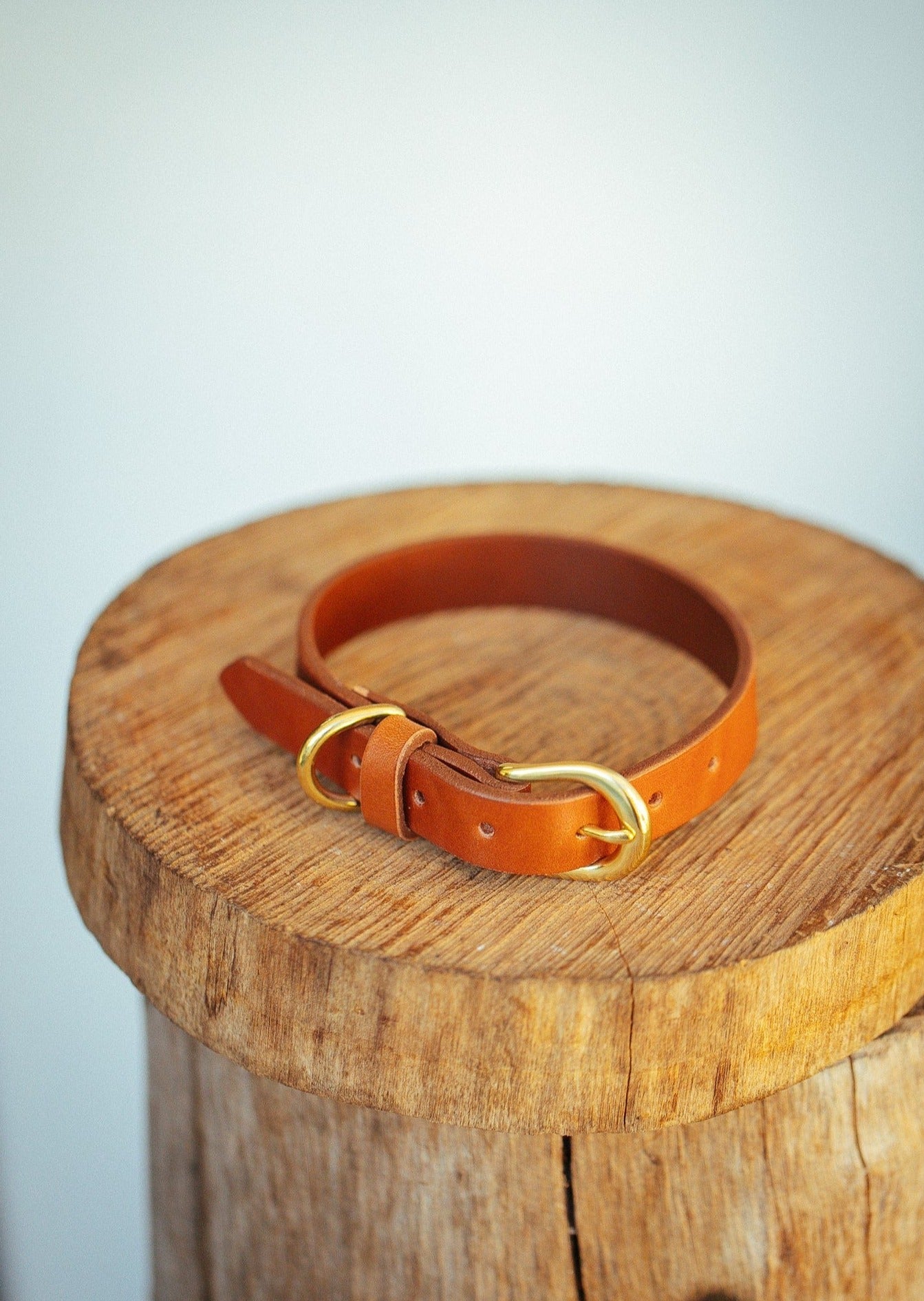 The Real McCaul Leathergoods Pet Collars & Harnesses Classic Dog Collar - 20mm - Tan Australian Made Australian Owned Leather Dog Collar with Brass Fittings- Australian Made