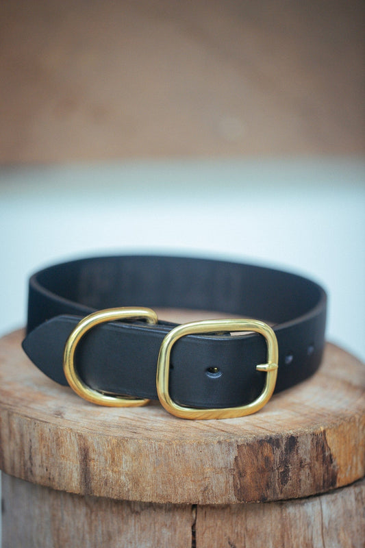The Real McCaul Leathergoods Pet Collars & Harnesses Medium (40-49cm) / Brass Classic Dog Collar - 38mm - Black Australian Made Australian Owned Leather Dog Collar with Brass Fittings- Australian Made