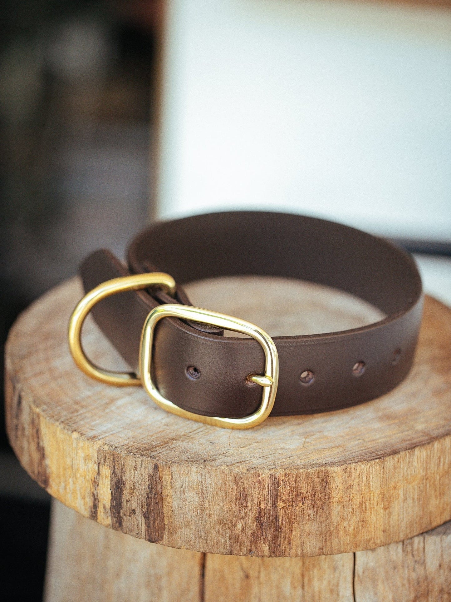 The Real McCaul Leathergoods Pet Collars & Harnesses Medium (40-49cm) / Brass Classic Dog Collar - 38mm - Dark Brown Australian Made Australian Owned Leather Dog Collar with Brass Fittings- Australian Made
