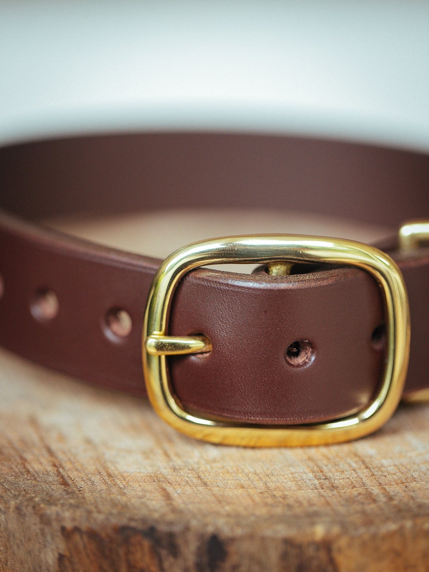 The Real McCaul Leathergoods Pet Collars & Harnesses Medium (40-49cm) / Gold Classic Dog Collar - 38mm - Cognac Australian Made Australian Owned Leather Dog Collar with Brass Fittings- Australian Made