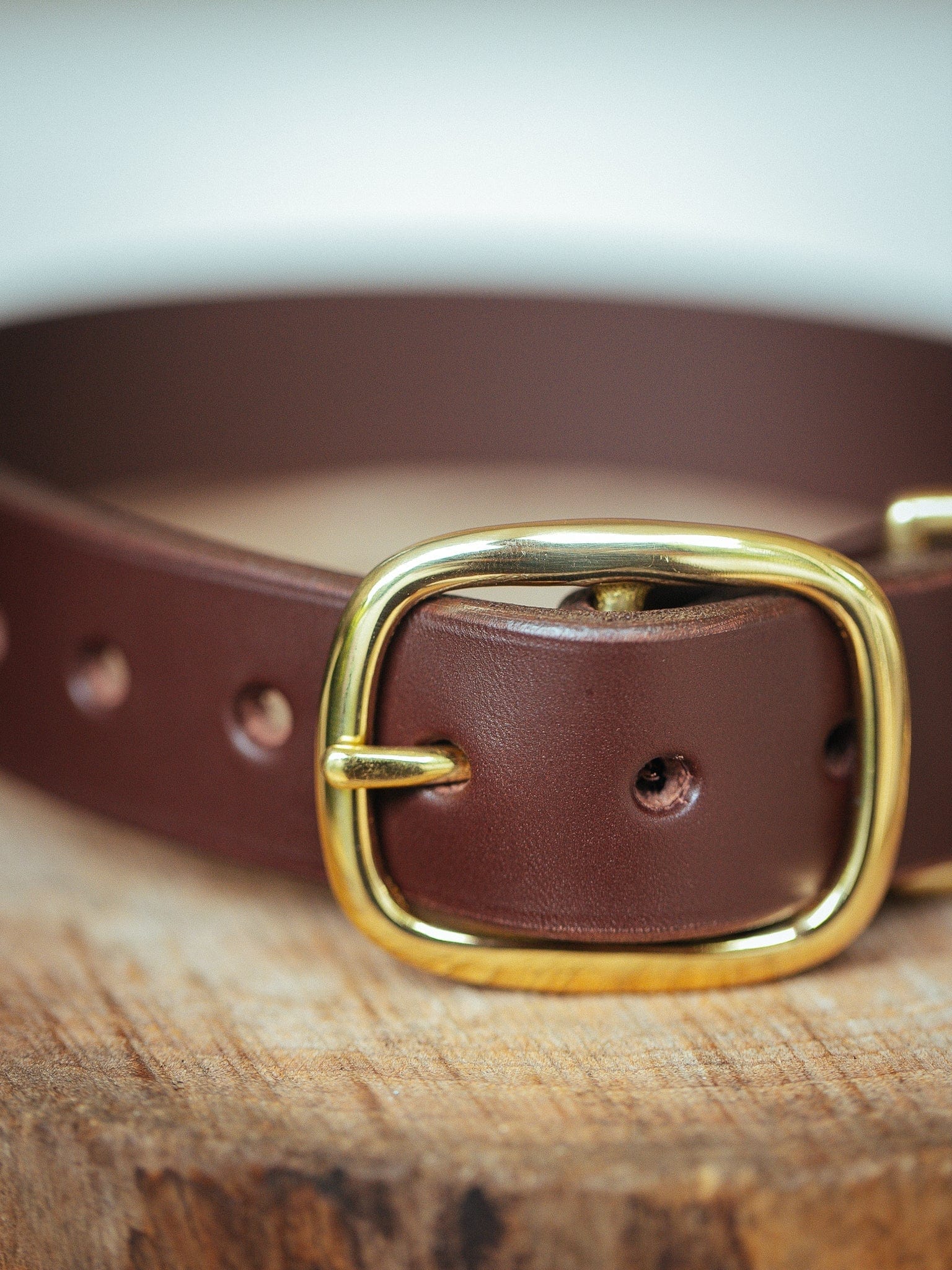 The Real McCaul Leathergoods Pet Collars & Harnesses Medium (40-49cm) / Gold Classic Dog Collar - 38mm - Cognac Australian Made Australian Owned Leather Dog Collar with Brass Fittings- Australian Made